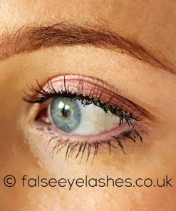 Ardell Color Impact Lashes 110 Plum New Arrivals