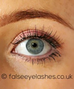 Ardell Color Impact Lashes 110 Plum New Arrivals