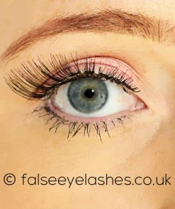 Ardell Fashion Lashes Black 118 New Arrivals 9 Ardell Fashion Lashes Black 118 New Arrivals