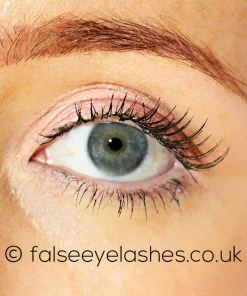 Ardell Accent Lashes 308 Black New Arrivals