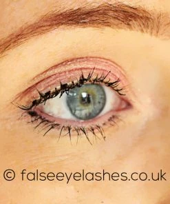 Ardell Accent Lashes 311 Black New Arrivals