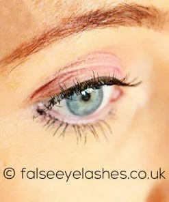 Ardell LashLites 330 New Arrivals 7 Ardell LashLites 330 New Arrivals