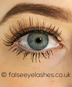 New Arrivals Ardell Chocolate Lashes 886