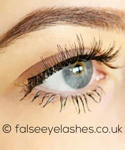 New Arrivals Ardell Chocolate Lashes 886