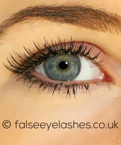 Ardell Invisiband Lashes Black - Babies New Arrivals