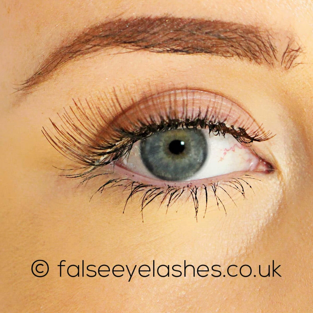 New Arrivals Ardell Chocolate Lashes 887 4 New Arrivals Ardell Chocolate Lashes 887