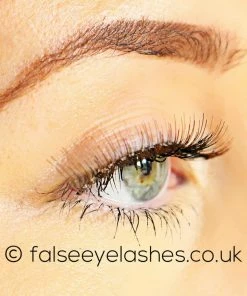 New Arrivals Ardell Chocolate Lashes 887 7 New Arrivals Ardell Chocolate Lashes 887