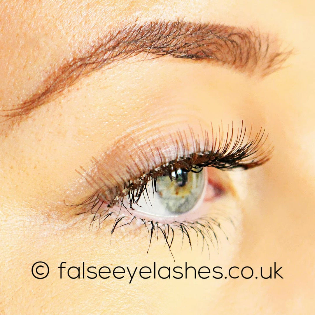 New Arrivals Ardell Chocolate Lashes 887 5 New Arrivals Ardell Chocolate Lashes 887