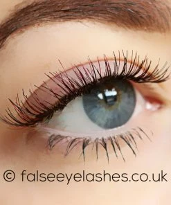 Ardell Color Impact Lashes Demi Wispies Wine New Arrivals 7 Ardell Color Impact Lashes Demi Wispies Wine New Arrivals