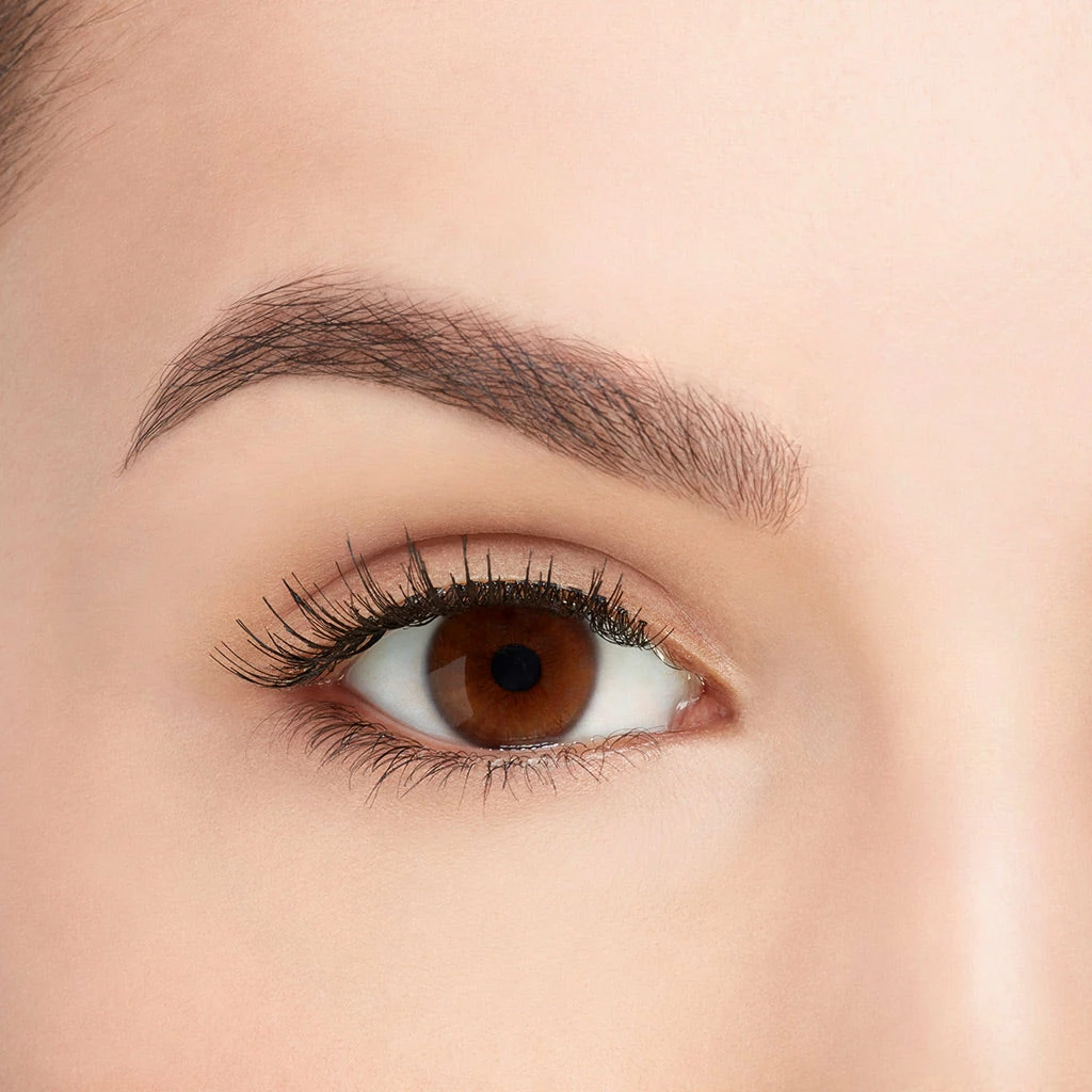 Ardell Lash Starter Kit 110 5 Ardell Lash Starter Kit 110