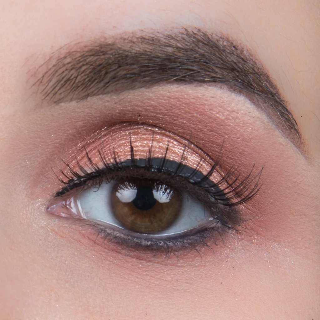 New Arrivals Ardell Lash Starter Kit 116 4 New Arrivals Ardell Lash Starter Kit 116