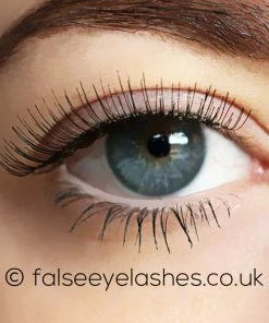 Ardell Lashes Black - Beauties