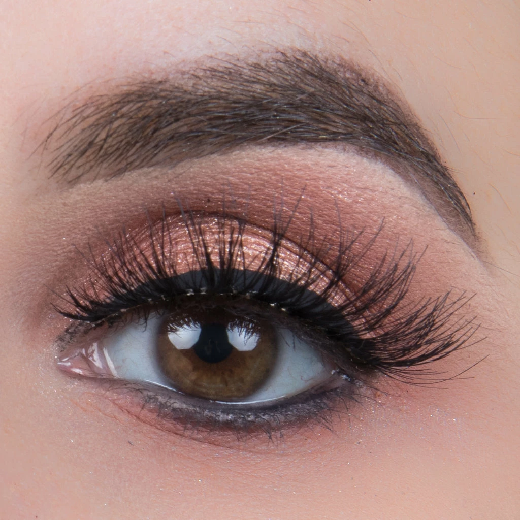 Ardell Wispies Lashes 113 (with DUO Glue) New Arrivals 4 Ardell Wispies Lashes 113 (with DUO Glue) New Arrivals