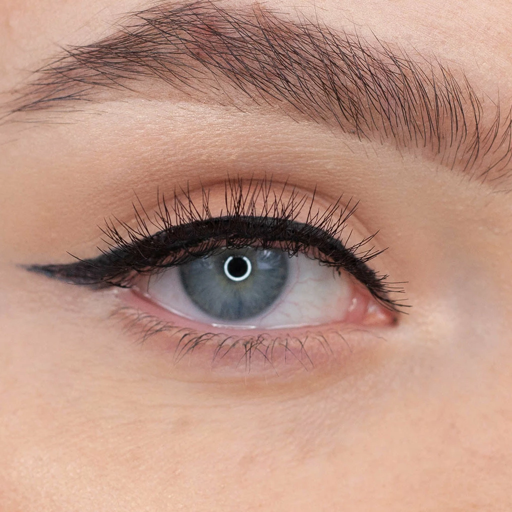 Ardell Magnetic Lashes 113 (Single Lash) 4 Ardell Magnetic Lashes 113 (Single Lash)