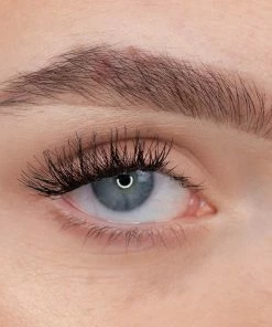 Ardell Magnetic Lashes Accents 002 New Arrivals