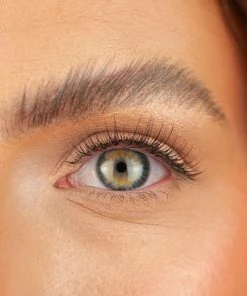 Boldface Lashes - At Ease New Arrivals