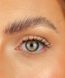 Boldface Lashes - The Essentials