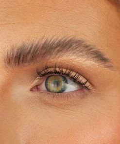 Boldface Lashes - The Essentials