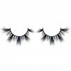 Doll Beauty Lashes - Coco New Arrivals
