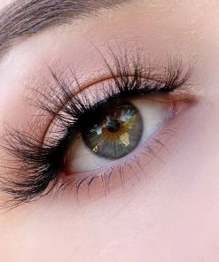 Doll Beauty Lashes - Coco New Arrivals