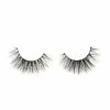 Doll Beauty Lashes - Flynny New Arrivals