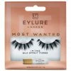 Eylure Most Wanted Lashes - I Heart This New Arrivals 1 Eylure Most Wanted Lashes - I Heart This New Arrivals