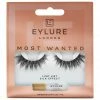 Eylure Most Wanted Lashes - Lust List New Arrivals