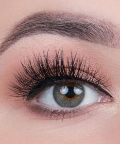 House Of Lashes - Boudoir