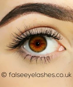 Kiss Lashes Kiss Blooming Lash - Daisy New Arrivals 8 Kiss Lashes Kiss Blooming Lash - Daisy New Arrivals