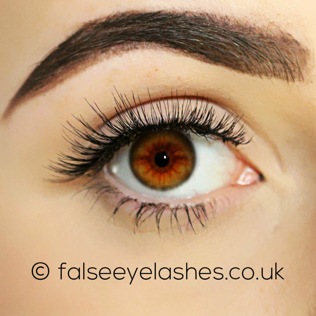 Kiss Lashes Kiss Blooming Lash - Daisy New Arrivals 5 Kiss Lashes Kiss Blooming Lash - Daisy New Arrivals