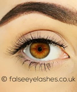 Kiss Lashes Kiss Natural Lashes - Iconic