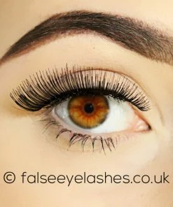 Kiss Lashes Kiss Haute Couture Lashes Twinpack - Lust New Arrivals 8 Kiss Lashes Kiss Haute Couture Lashes Twinpack - Lust New Arrivals