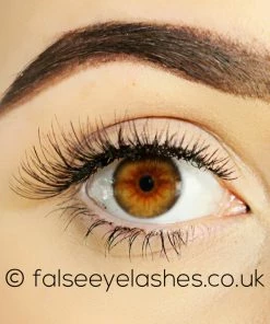 Kiss Lashes Kiss True Volume Lashes - Ritzy 9 Kiss Lashes Kiss True Volume Lashes - Ritzy