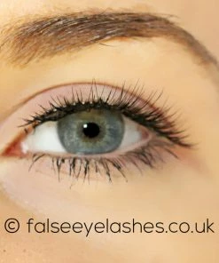 Kiss Lashes New Arrivals Kiss Natural Lashes - Shy