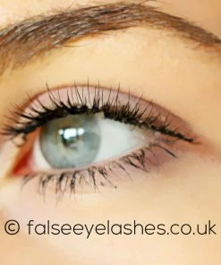Kiss Lashes New Arrivals Kiss Natural Lashes - Shy