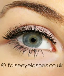 Kiss Lashes Kiss True Volume Lashes - Spicy New Arrivals