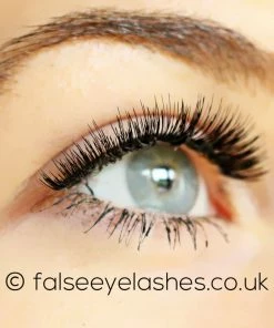 Kiss Lashes Kiss True Volume Lashes - Spicy New Arrivals
