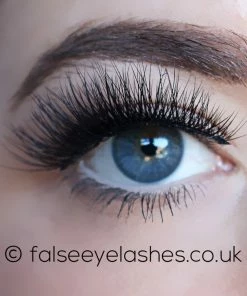 KoKo Lashes - Aria New Arrivals