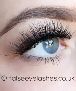KoKo Lashes - Aria New Arrivals