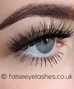 KoKo Lashes - Carrie New Arrivals