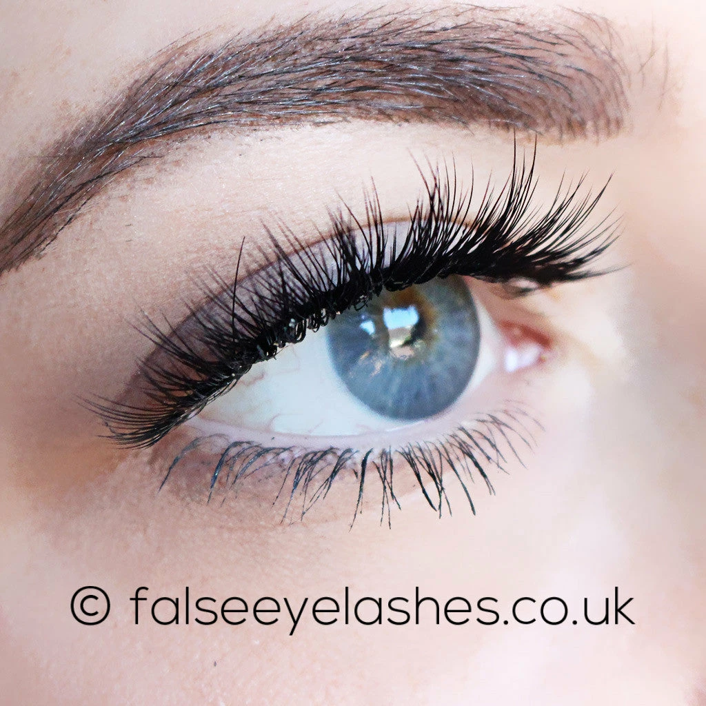 New Arrivals KoKo Lashes - Dashin' 6 New Arrivals KoKo Lashes - Dashin'