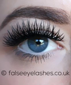 KoKo Lashes - Foxy New Arrivals