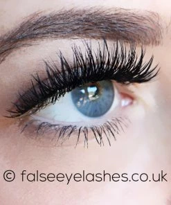 KoKo Lashes - Foxy New Arrivals