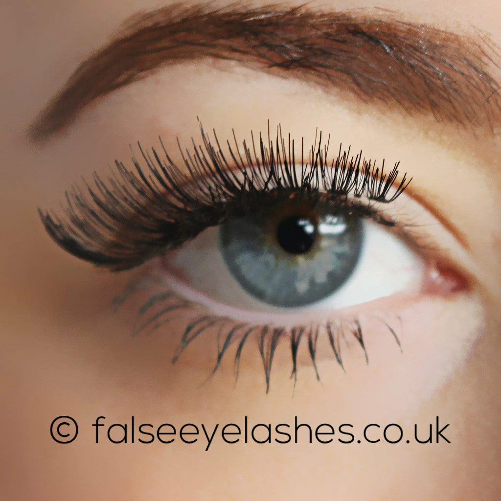 KoKo Lashes - 101 4 KoKo Lashes - 101