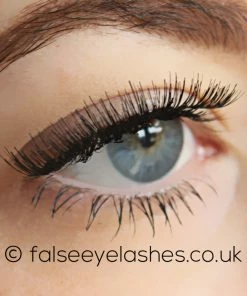 KoKo Lashes - 101 11 KoKo Lashes - 101