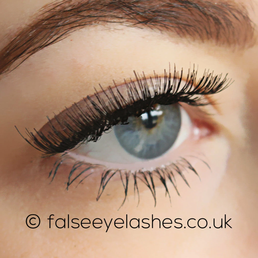 KoKo Lashes - 101 5 KoKo Lashes - 101