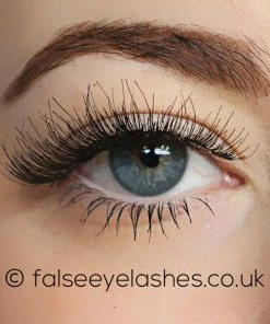 KoKo Lashes - 502 New Arrivals