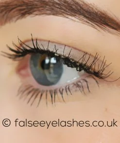 KoKo Lashes - 503 New Arrivals