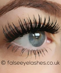 KoKo Lashes - Ariel New Arrivals