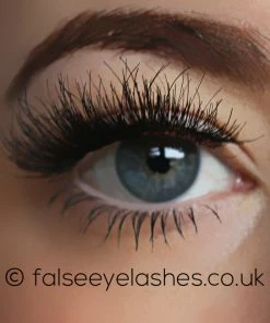 KoKo Lashes - Chloe New Arrivals
